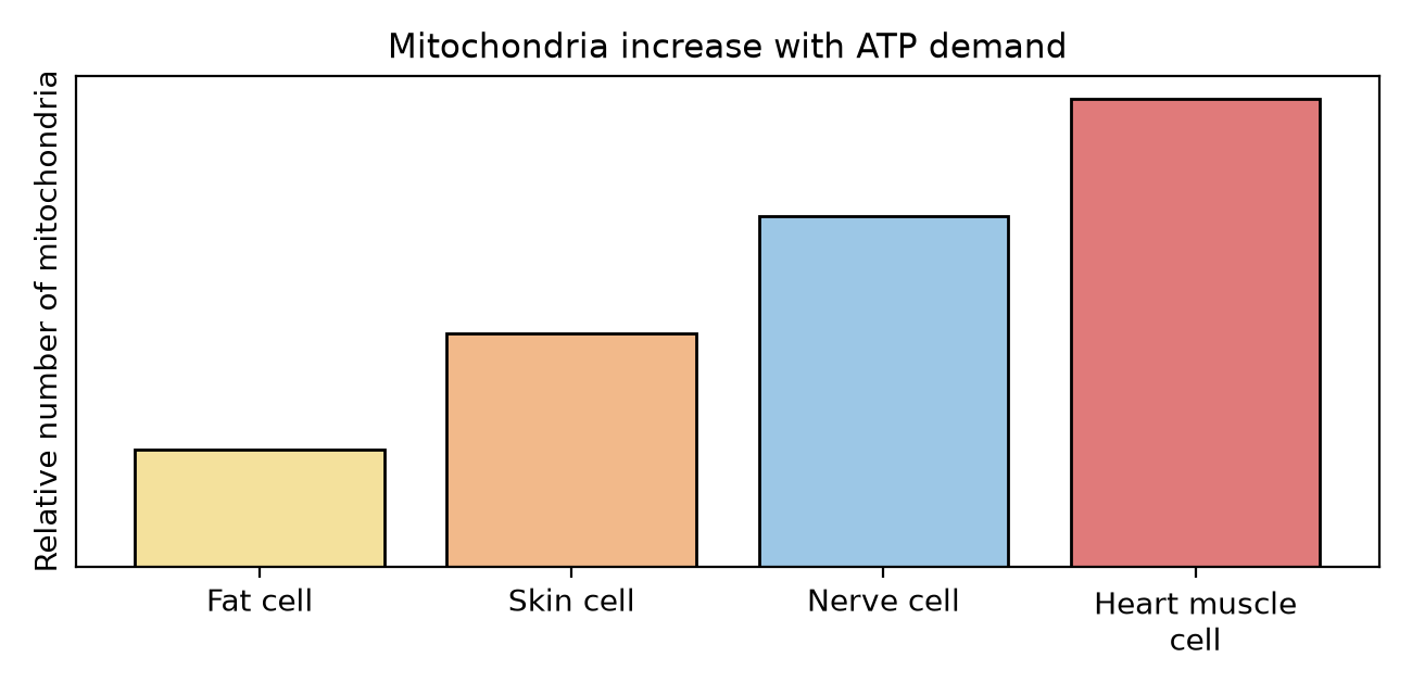 Bar chart of mitochondria by cell type